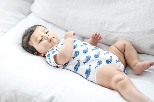 Blue Whale Smart Short-Sleeve Baby Bodysuit with Bib